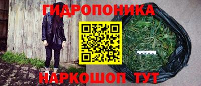скорость Краснознаменск