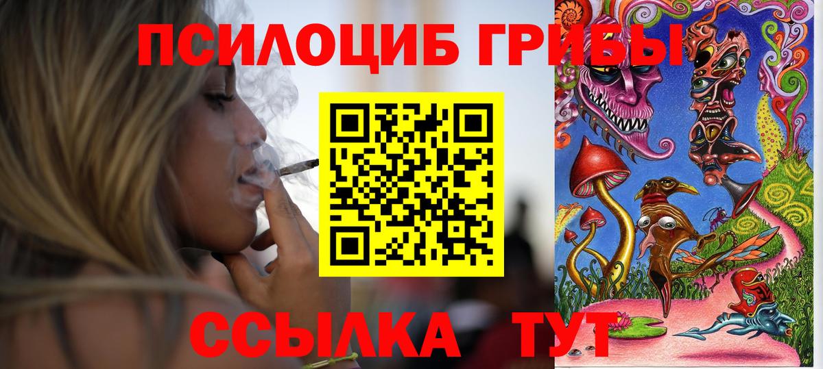 Галлюциногенные грибы Cubensis Бирск